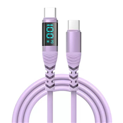 100W Type C to Type C cable 2